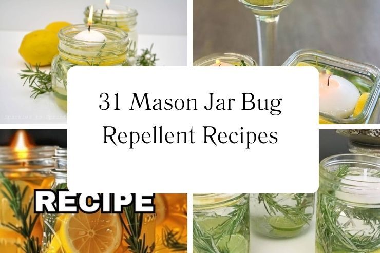 31 Mason Jar Bug Repellent Recipes