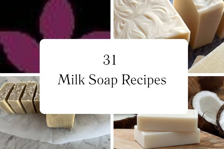 31 Milk Soap Recipes