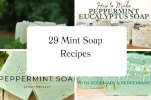 httpswishfulyou.commint-soap-recipes_20251113110148