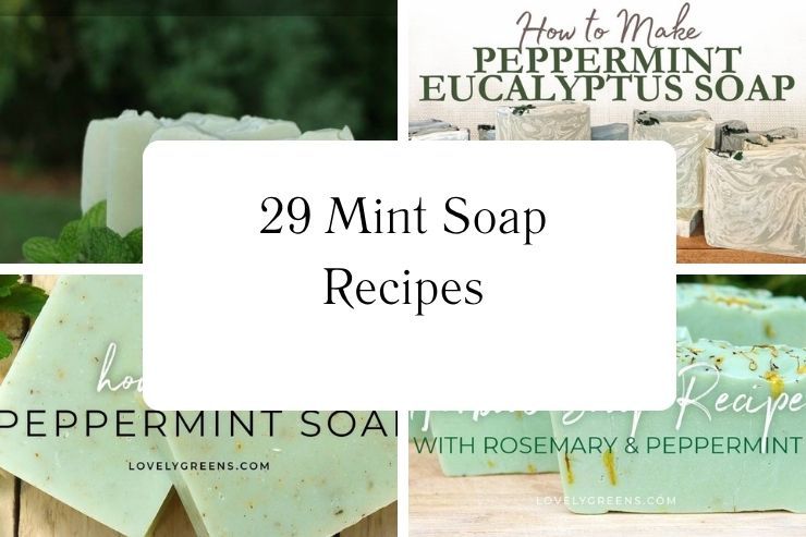 29 Mint Soap Recipes