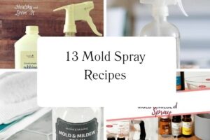 httpswishfulyou.commold-spray-recipes_20251113110513