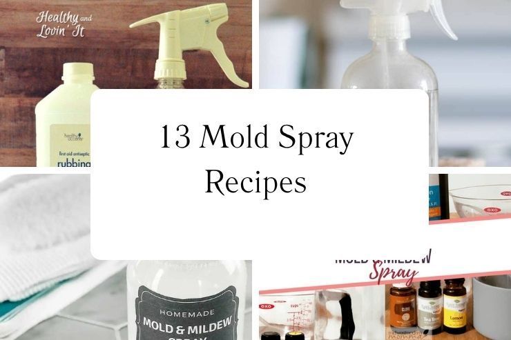 13 Mold Spray Recipes