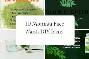 httpswishfulyou.commoringa-face-mask-diy-ideas_20251113110208