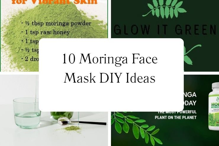 10 Moringa Face Mask DIY Ideas