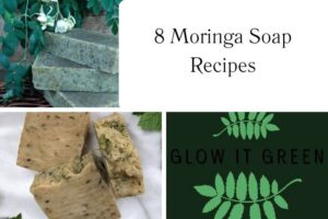httpswishfulyou.commoringa-soap-recipes_20251113111239