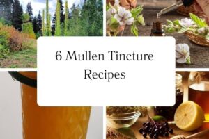 httpswishfulyou.commullen-tincture-recipes_20251113105022