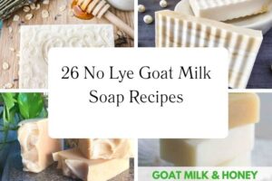 httpswishfulyou.comno-lye-goat-milk-soap-recipes_20251113103459