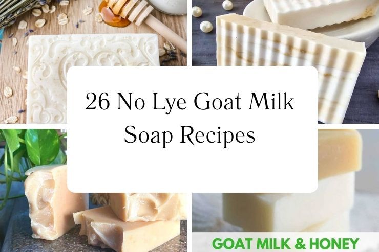 26 No Lye Goat Milk Soap Recipes