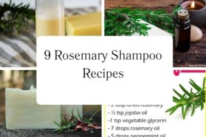httpswishfulyou.comrosemary-shampoo-recipes_20251113105149
