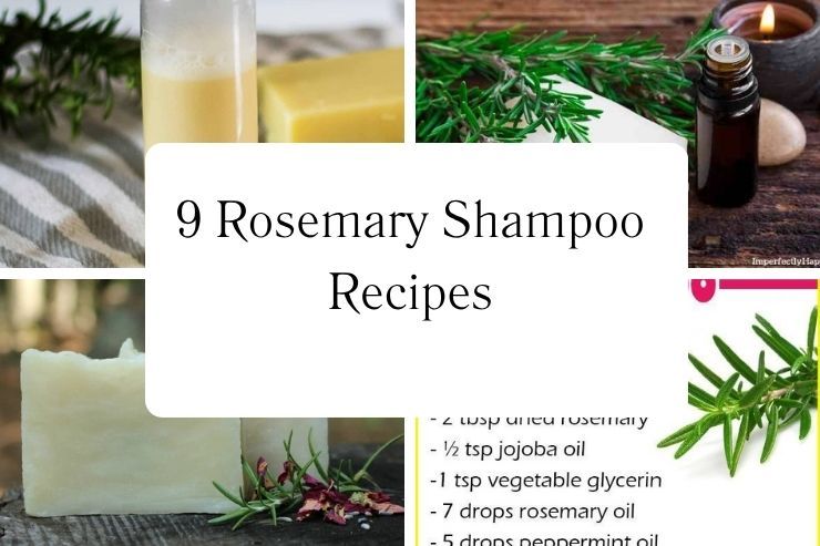 9 Rosemary Shampoo Recipes