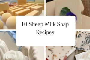 httpswishfulyou.comsheep-milk-soap-recipes_20251113103403