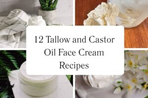 httpswishfulyou.comtallow-and-castor-oil-face-cream-recipes_20251113103614