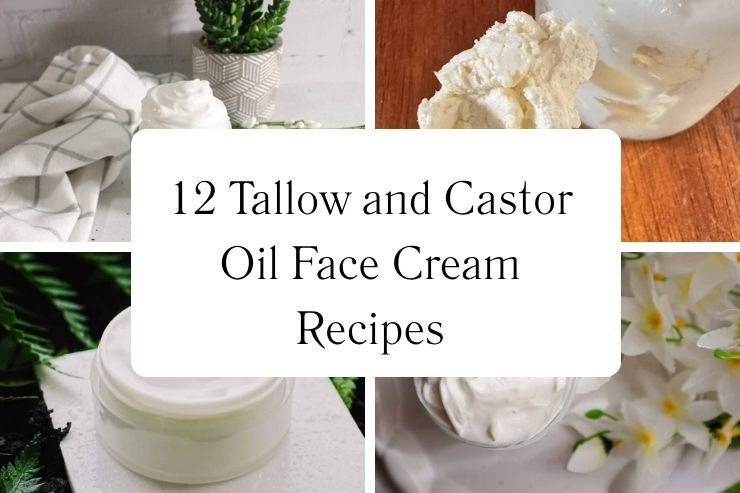 12 Tallow and Castor Oil Face Cream Recipes