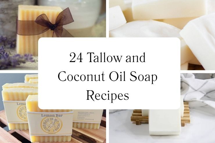 24 Tallow and Coconut Oil Soap Recipes