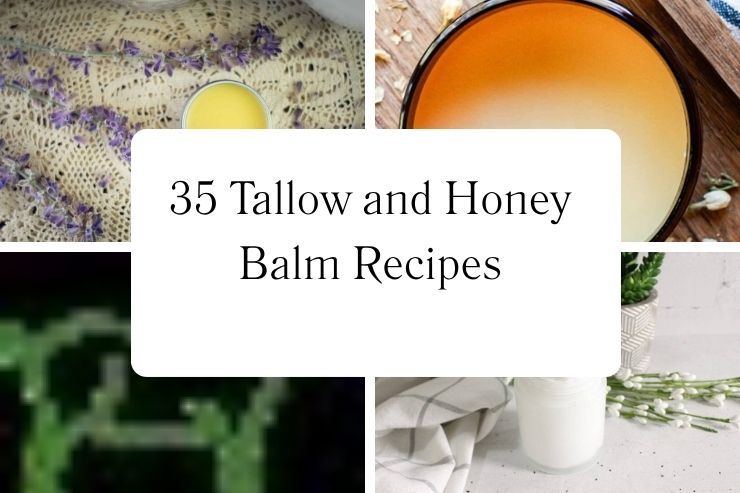 35 Tallow and Honey Balm Recipes