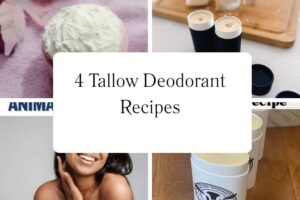 httpswishfulyou.comtallow-deodorant-recipes_20251113103855