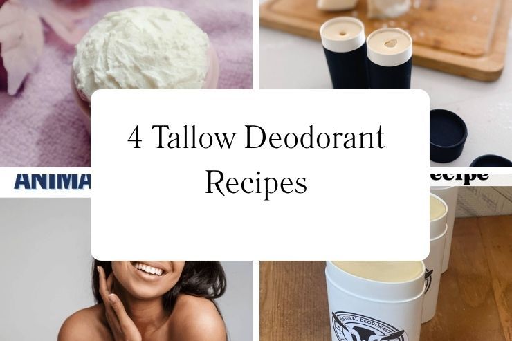 4 Tallow Deodorant Recipes