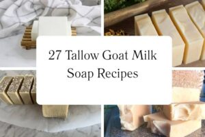 httpswishfulyou.comtallow-goat-milk-soap-recipes_20251113103425