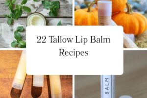httpswishfulyou.comtallow-lip-balm-recipes_20251113103625