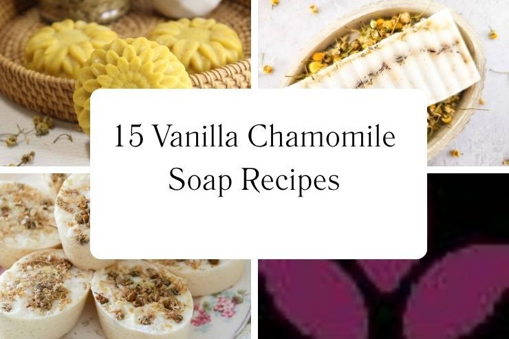 15 Vanilla Chamomile Soap Recipes