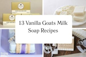httpswishfulyou.comvanilla-goats-milk-soap-recipes_20251113103540