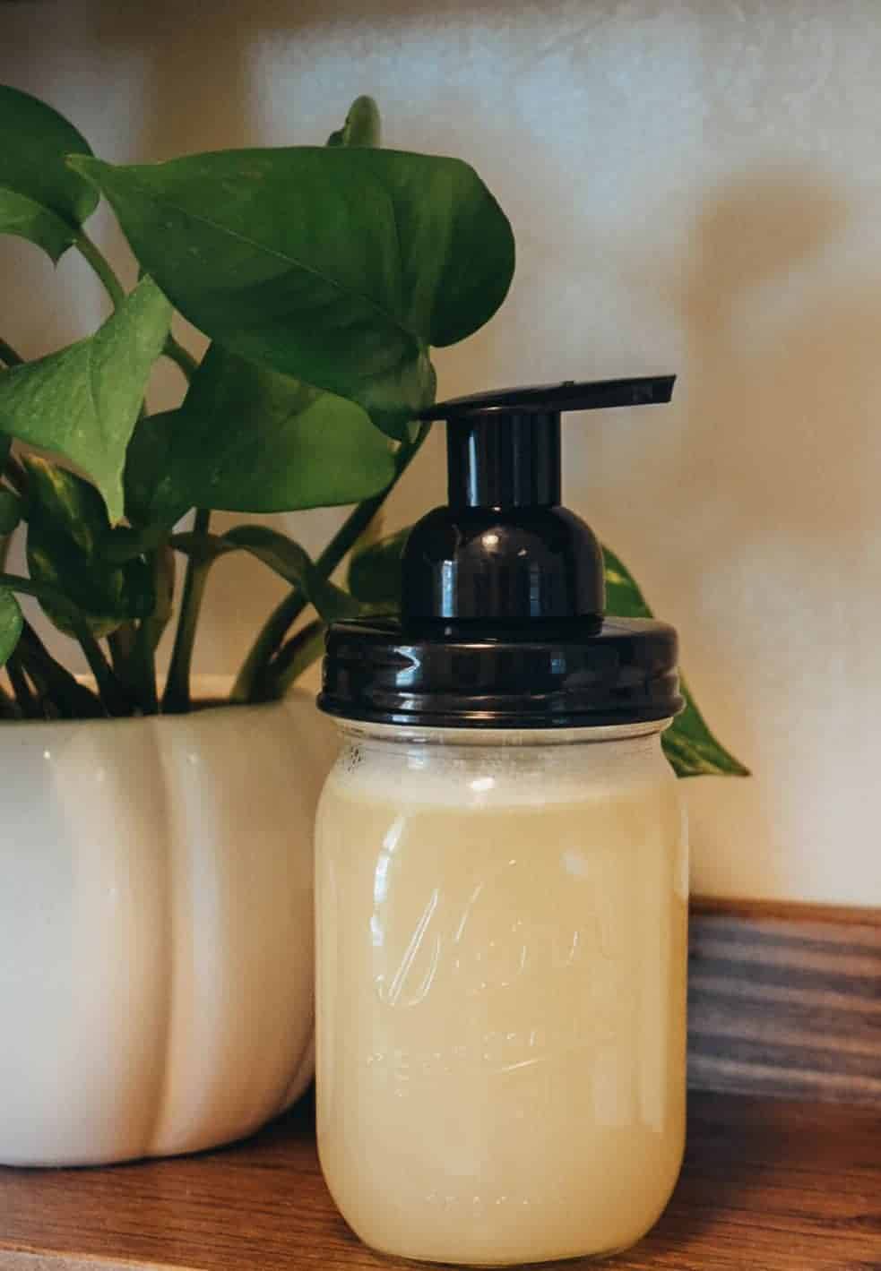 31 How to Make Foaming Soap Refills Image