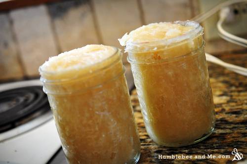 32 DIY Liquid Castile Soap Recipes Image