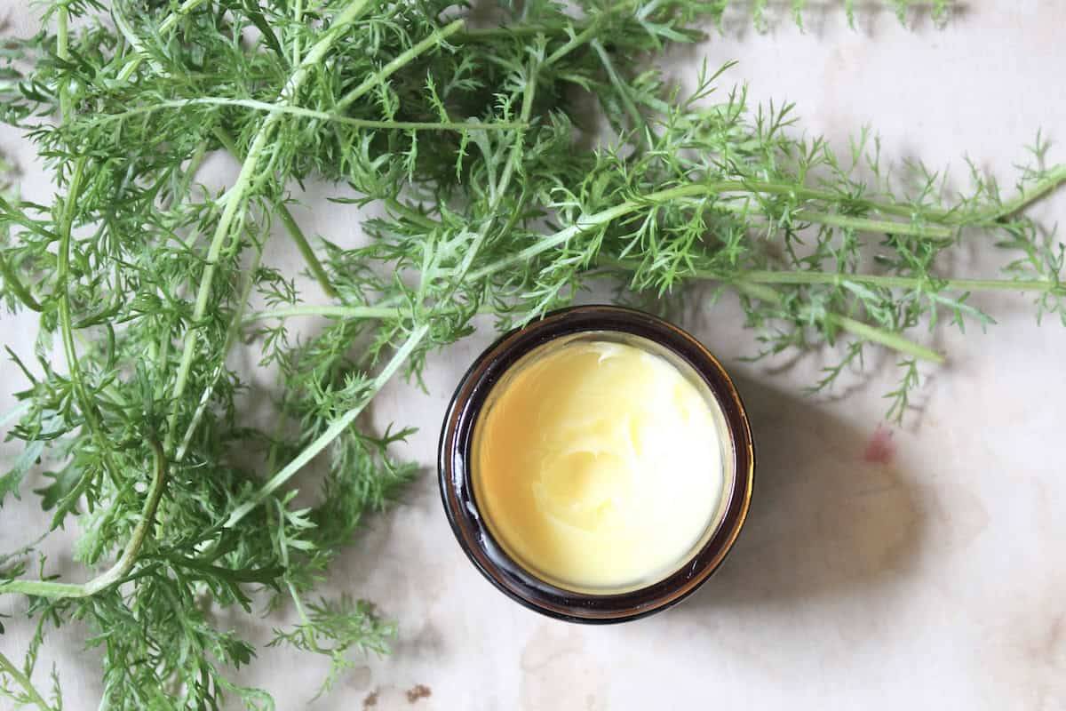 5 How to Make Yarrow Salve Image