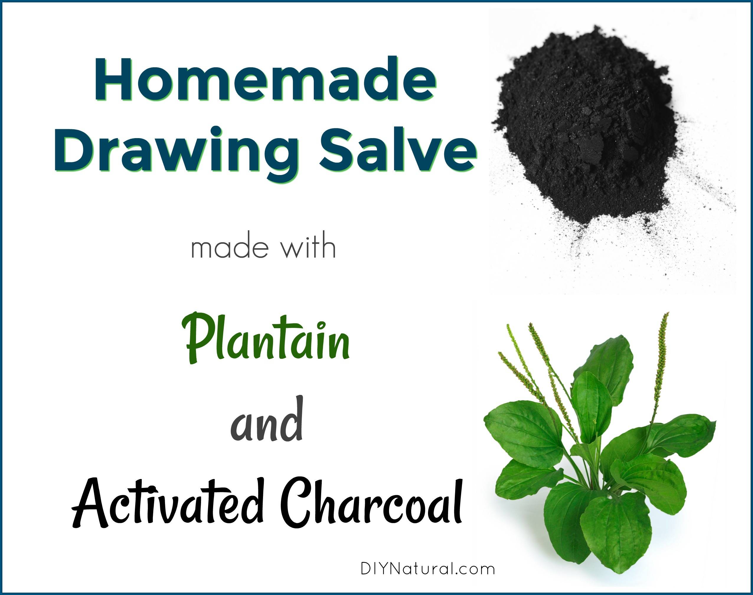 21 Homemade Drawing Salve Recipes Image