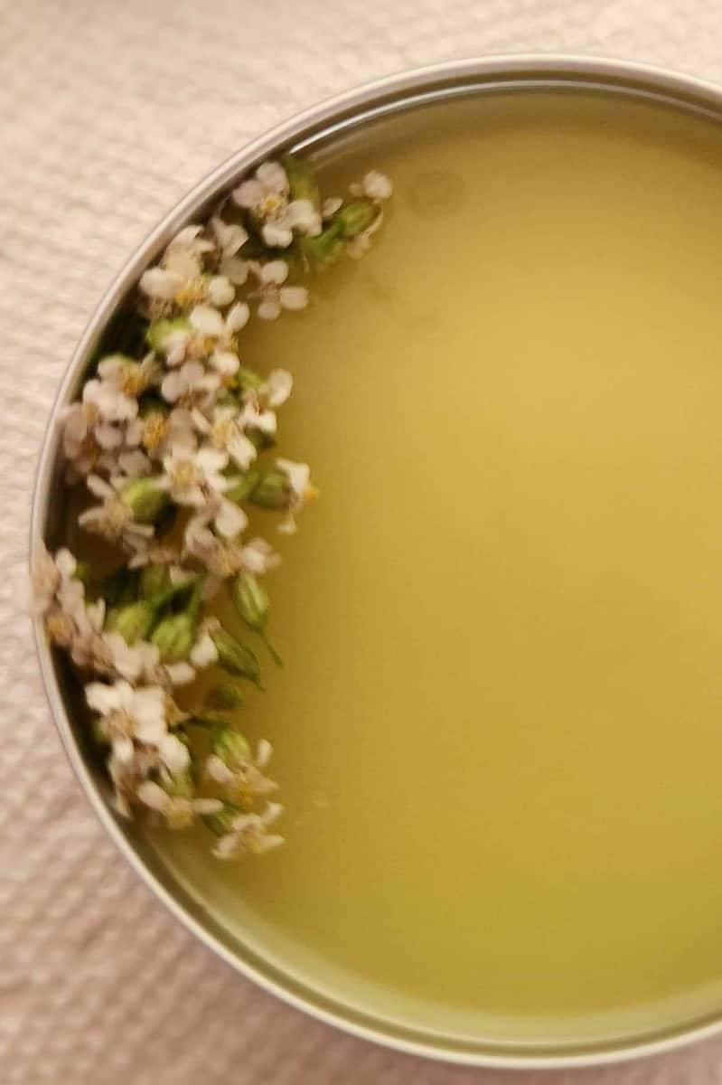 5 How to Make Yarrow Salve Image