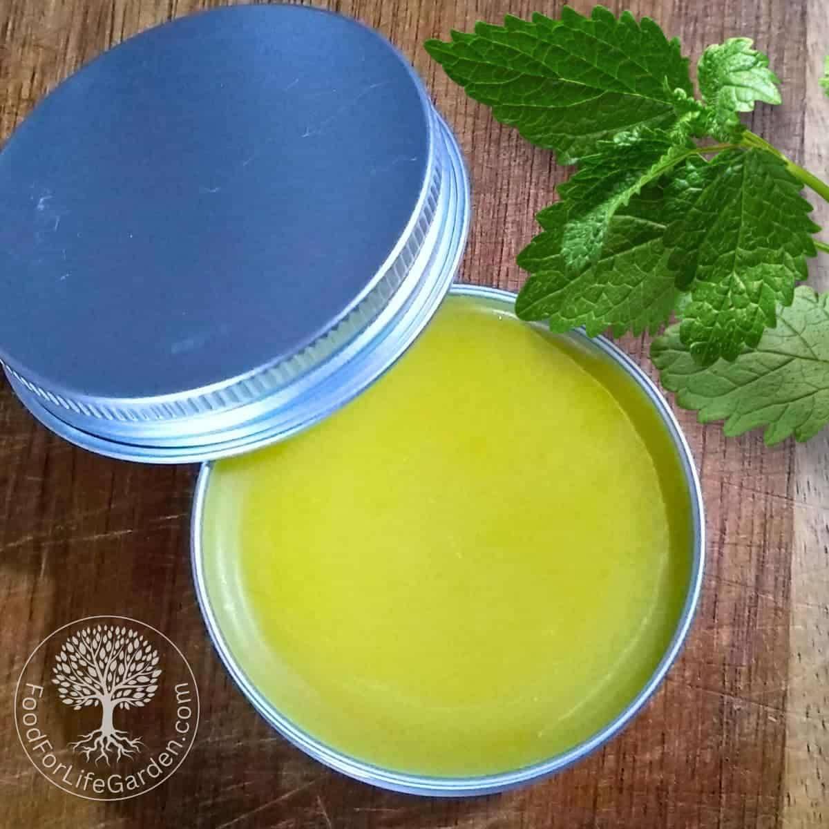 36 Essential Oil Salve Recipes Image