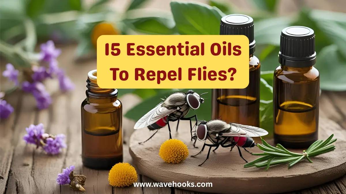 29 Pinesol for Flies Image