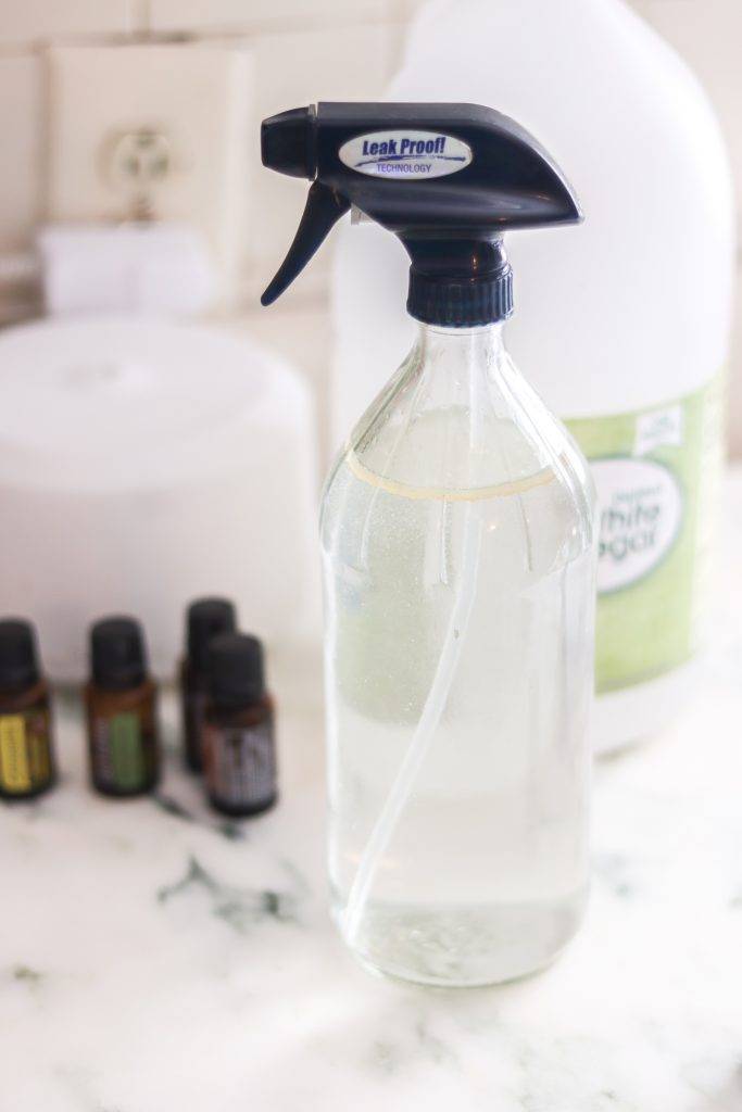 29 Pinesol for Flies Image