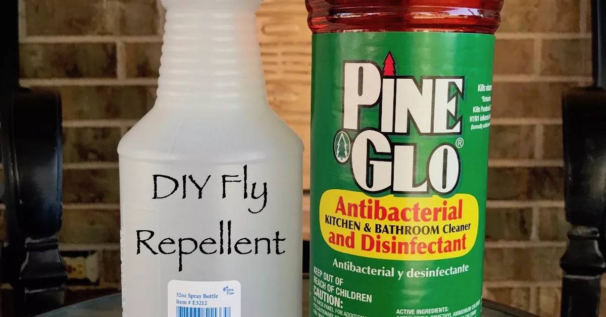 29 Pinesol for Flies Image