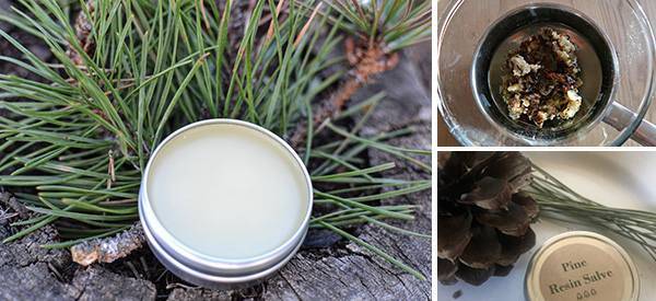 29 Pine Tar Drawing Salve Recipes Image