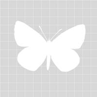 34 DIY Peppermint Shower Steamers Image