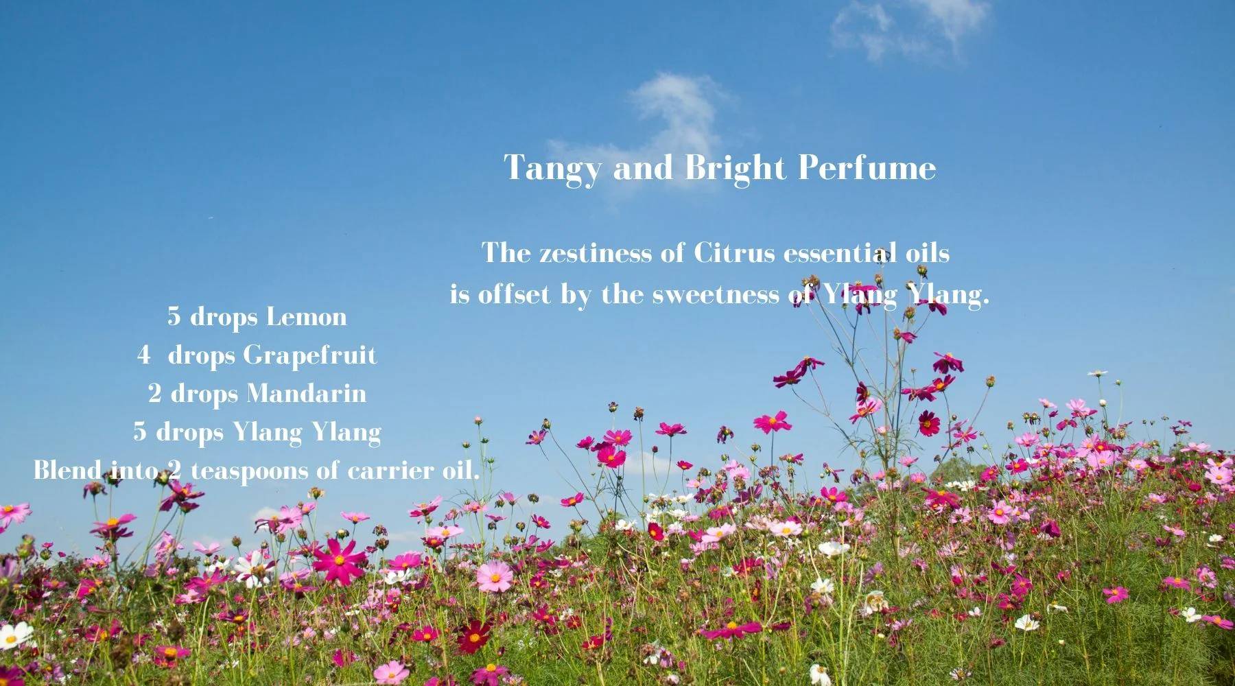 6 Ylang Ylang Perfume Recipes Image