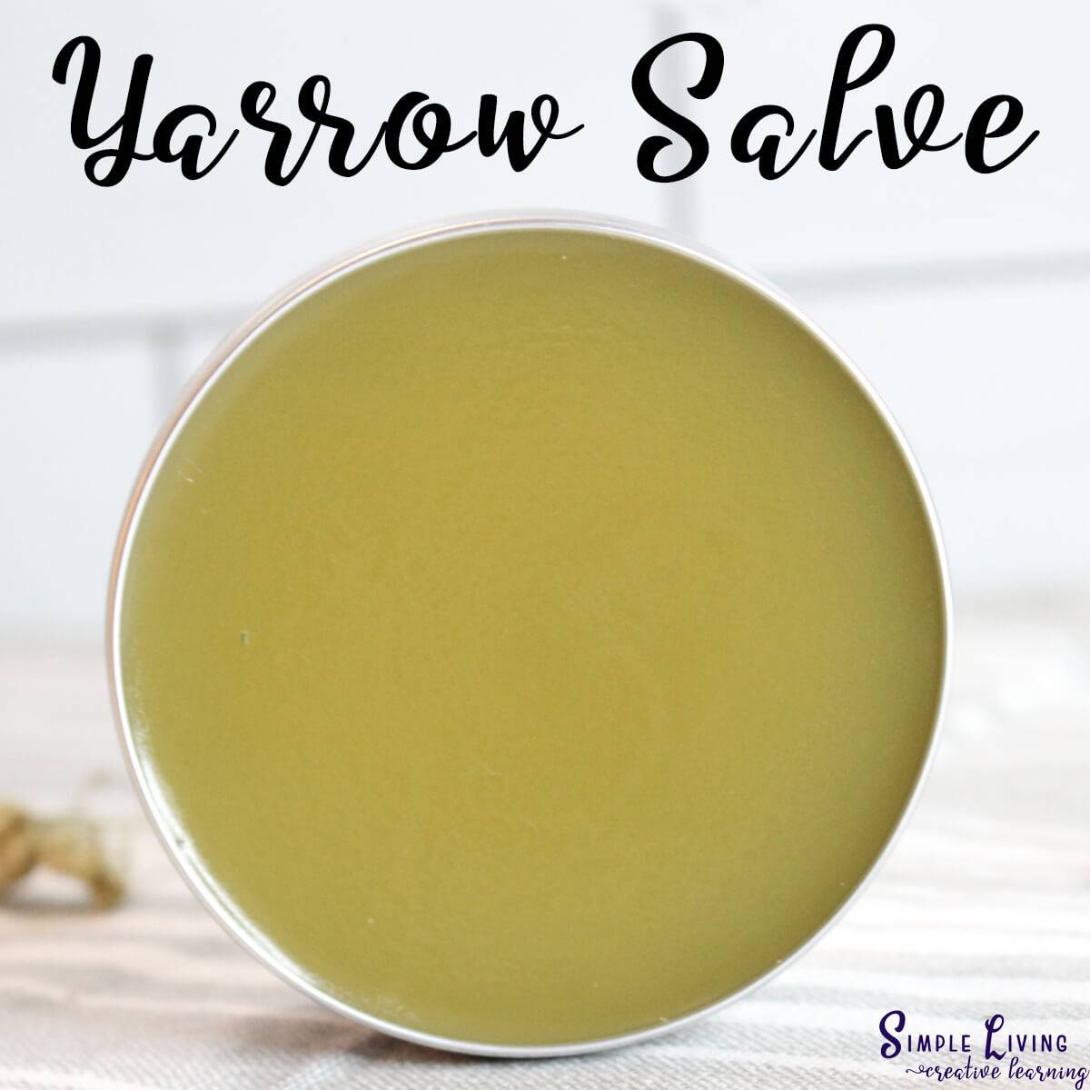 5 How to Make Yarrow Salve Image