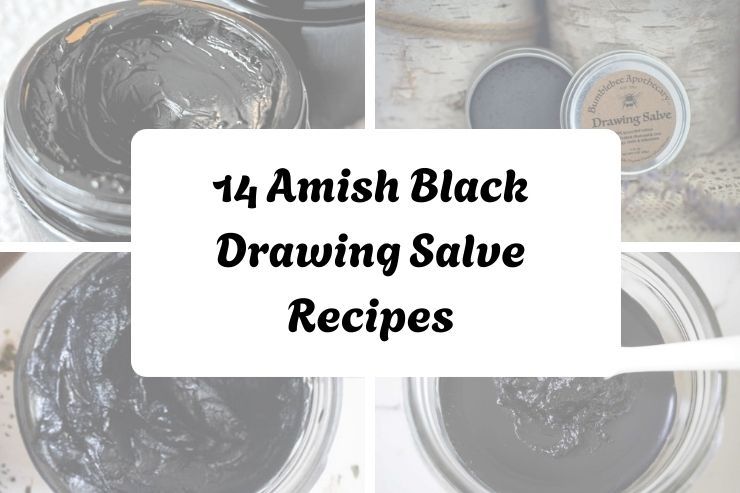 14 Amish Black Drawing Salve Recipes
