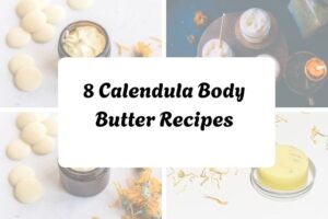 httpswishfulyou.comcalendula-body-butter-recipes_20251206165101