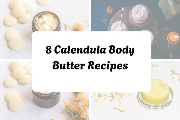 8 Calendula Body Butter Recipes