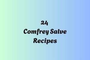 httpswishfulyou.comcomfrey-salve-recipes_20251206165008