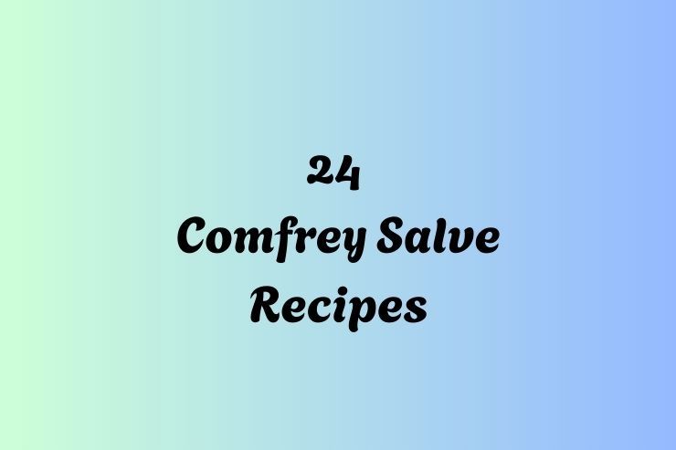 24 Comfrey Salve Recipes