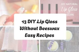 httpswishfulyou.comdiy-lip-gloss-without-beeswax-easy-recipes_20251206165435