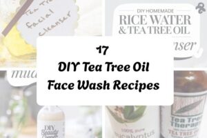 httpswishfulyou.comdiy-tea-tree-oil-face-wash-recipes_20251206164728