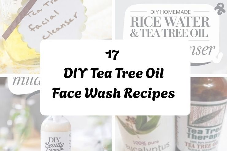 17 DIY Tea Tree Oil Face Wash Recipes