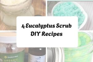 httpswishfulyou.comeucalyptus-scrub-diy-recipes_20251206165015