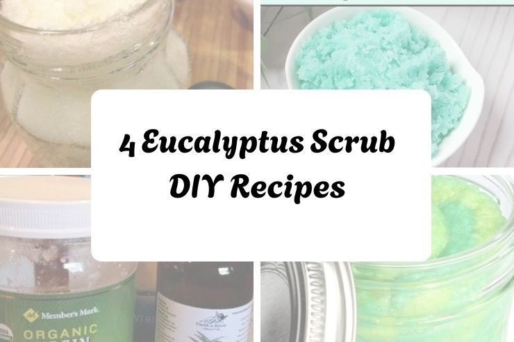 4 Eucalyptus Scrub DIY Recipes