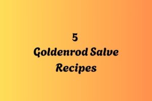 httpswishfulyou.comgoldenrod-salve-recipes_20251206165201