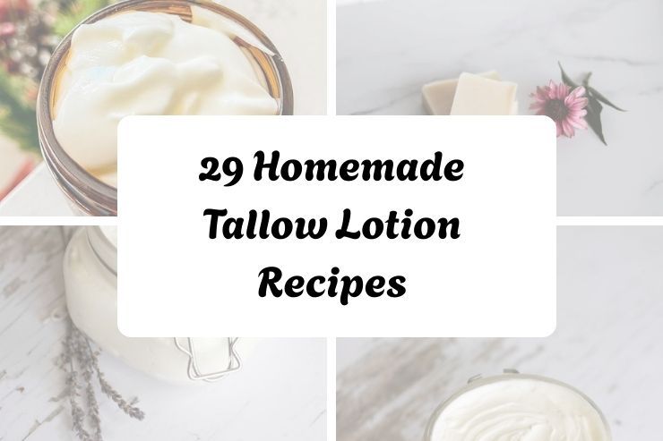 29 Homemade Tallow Lotion Recipes